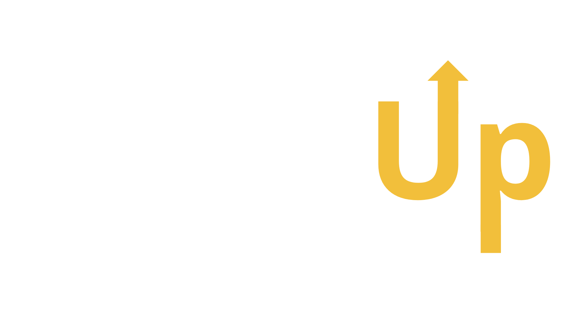 Link Up Assessoria